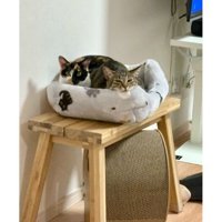 ベッドに入っている猫たち
