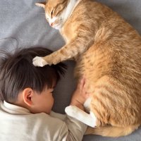 寝転がって子供の頭に左前足を置いている猫