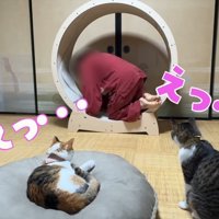 えっ…