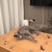 猫の置物に囲まれている猫