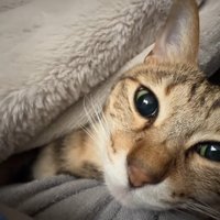お顔のアップ