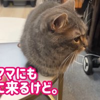 ママにも甘えに来るけど