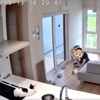 猫と戯れる男性