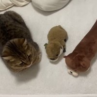 並ぶ3人(上から)