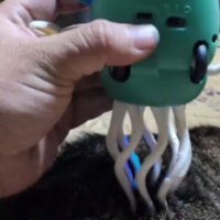 イカのおもちゃ