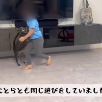 走り回りながら猫と遊ぶ女の子