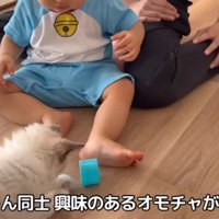 興味のあるオモチャが一緒