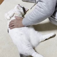 体をひねって
