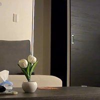 人のいないリビング