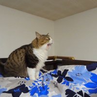 ベッドの上