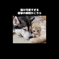 密着