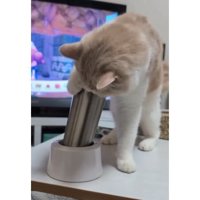 猫とタンブラー