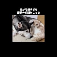 同じ方を向くふたり