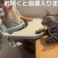 赤ちゃんと猫の写真4