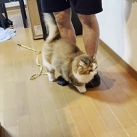 足元に密着