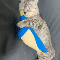 ペンギンを抱きしめて眠る猫