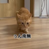 ぅん南無