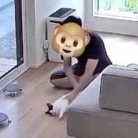 猫に触れる男性