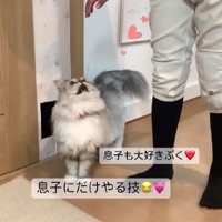 猫と男の子