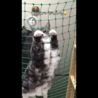 少し顔を上げて