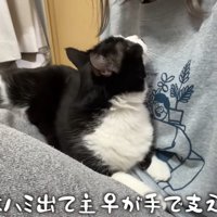 お尻はハミ出て