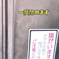 閉められたドア