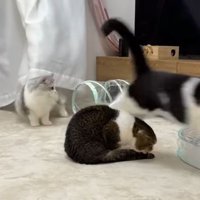逃げるうま次郎