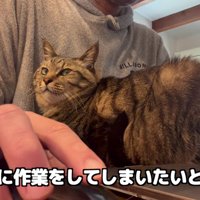 甘えられて満足した百太さん