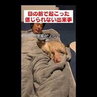 現実だよな？