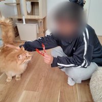 なでなで