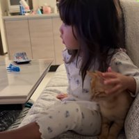 子どもになでられる子猫