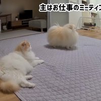 ミーティング中の主