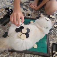ノセロ