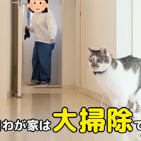テロップ「本日わが家は～」