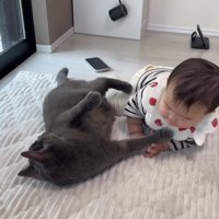そばにいる子供に手足を当てている猫