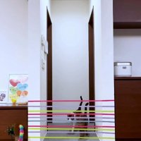 家の中に張ってあるテープを見る猫達