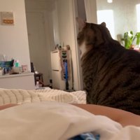 飼い主さんに背を向けて待つノブくん
