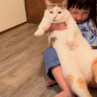 猫を抱っこしようとする女の子
