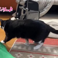 ふうん♪