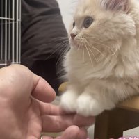 「手に力入ってないの？笑」のテロップ写真4