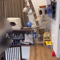 倒れかけたキャットタワー