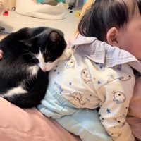 顔が完全に見切れている赤ちゃんの背中に乗って丸くなる猫