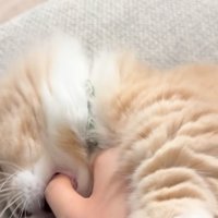 指が口の中に