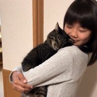 顔をすり寄せる猫