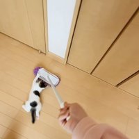 モップに掴まる子猫と見守る母猫