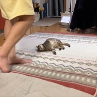 寝転がるうーちゃん