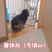 春休み