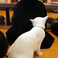後ろに回って