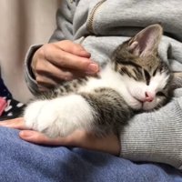 うとうと