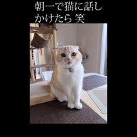 正面を向いて鳴く姿